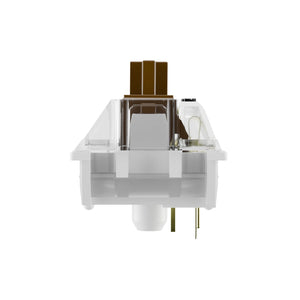 OUTEMU RGB Brown Tactile Switches Switches OUTEMU